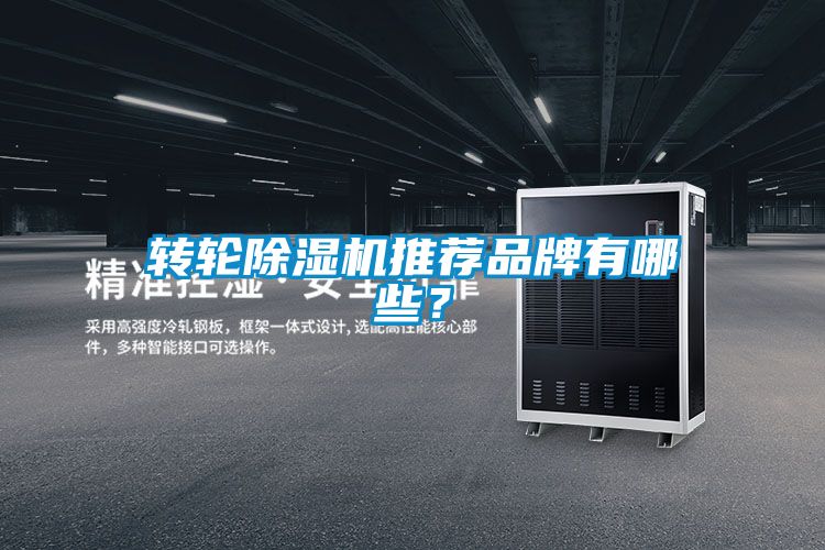 轉輪除濕機推薦品牌有哪些？