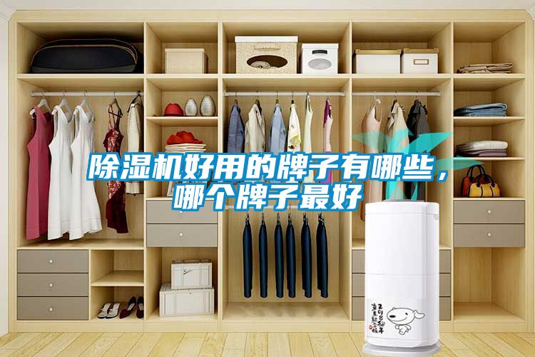 除濕機好用的牌子有哪些，哪個牌子最好