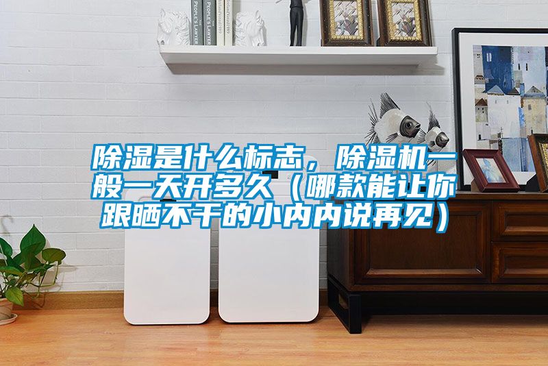除濕是什么標志，除濕機一般一天開多久（哪款能讓你跟曬不干的小內內說再見）