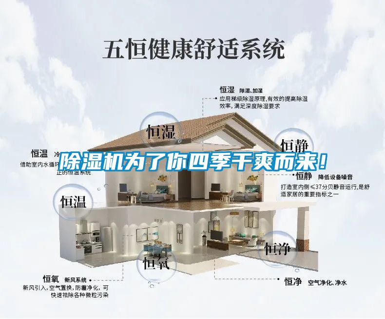 除濕機為了你四季干爽而來！