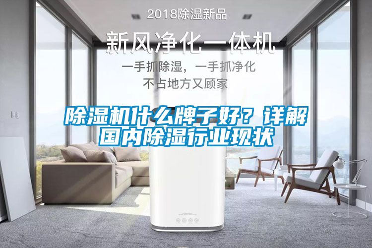 除濕機什么牌子好？詳解國內除濕行業現狀