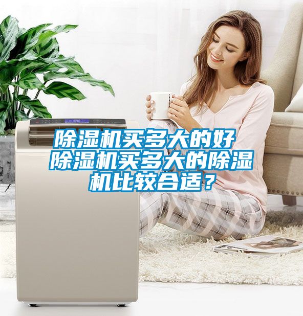 除濕機買多大的好 除濕機買多大的除濕機比較合適？