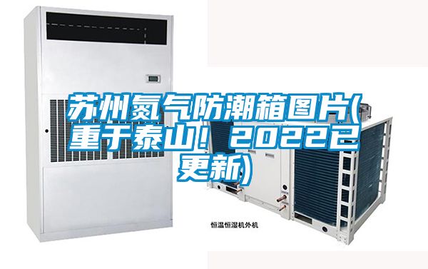蘇州氮氣防潮箱圖片(重于泰山！2022已更新)