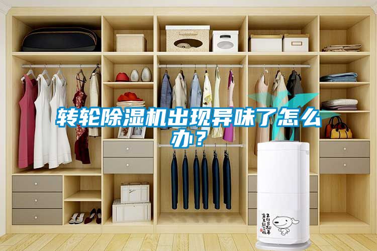 轉輪除濕機出現異味了怎么辦？