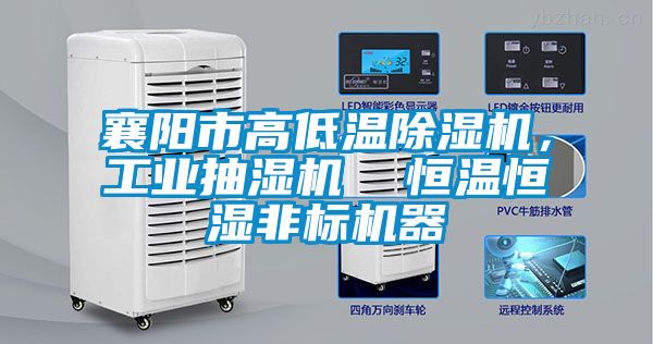 襄陽市高低溫除濕機，工業抽濕機  恒溫恒濕非標機器