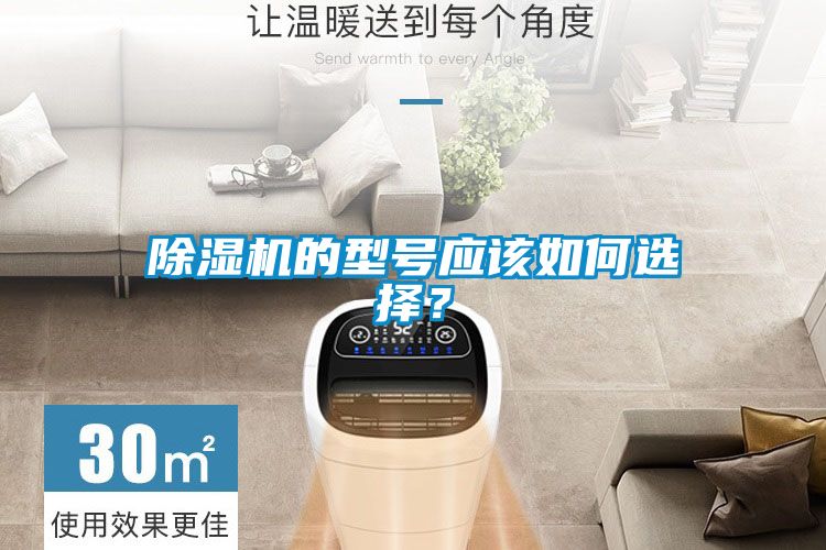 除濕機的型號應該如何選擇？