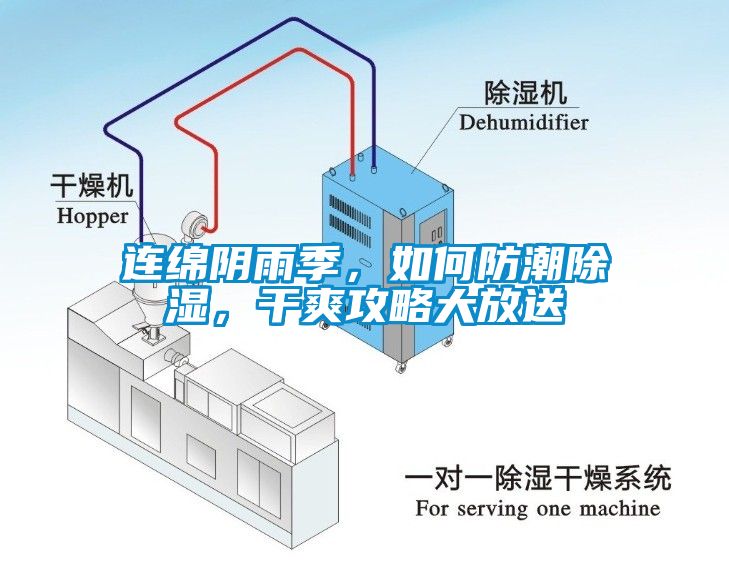 連綿陰雨季，如何防潮除濕，干爽攻略大放送