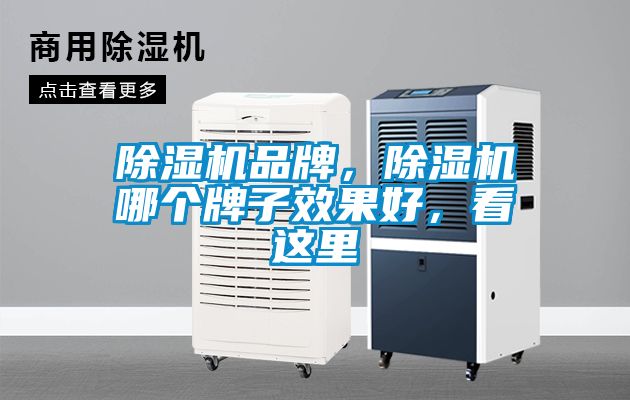 除濕機品牌，除濕機哪個牌子效果好，看這里