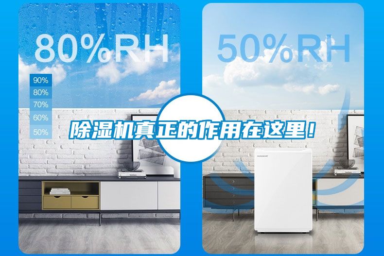除濕機真正的作用在這里！