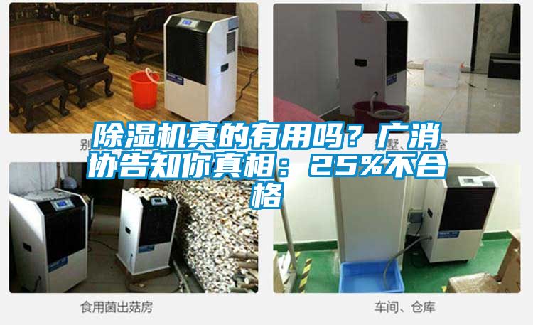 除濕機真的有用嗎？廣消協告知你真相：25%不合格