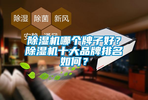 除濕機哪個牌子好？除濕機十大品牌排名如何？