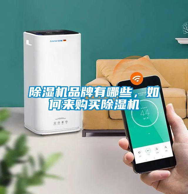 除濕機品牌有哪些，如何來購買除濕機