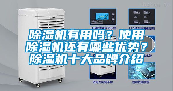除濕機有用嗎？使用除濕機還有哪些優勢？除濕機十大品牌介紹