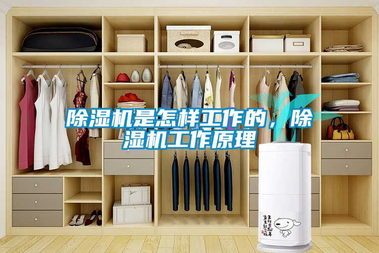 除濕機是怎樣工作的，除濕機工作原理