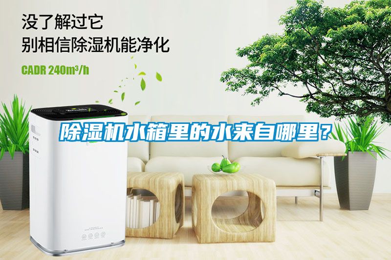 除濕機水箱里的水來自哪里？