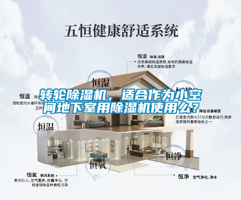 轉輪除濕機，適合作為小空間地下室用除濕機使用么？