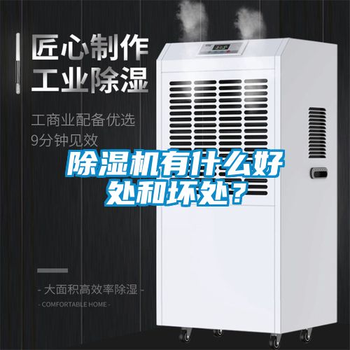 除濕機有什么好處和壞處？
