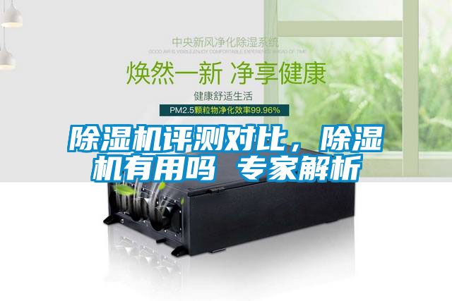 除濕機評測對比，除濕機有用嗎 專家解析