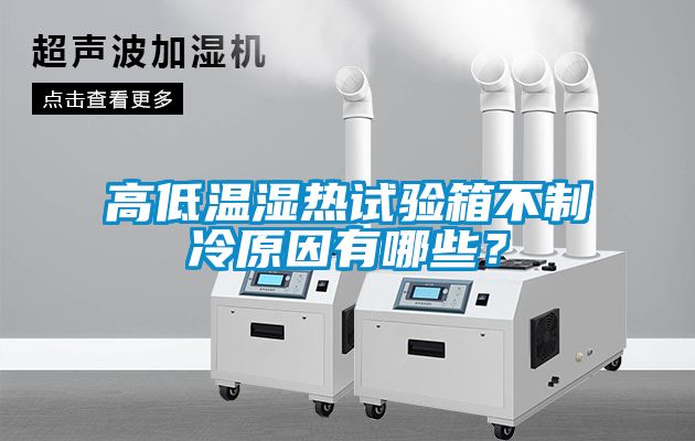 高低溫濕熱試驗箱不制冷原因有哪些？