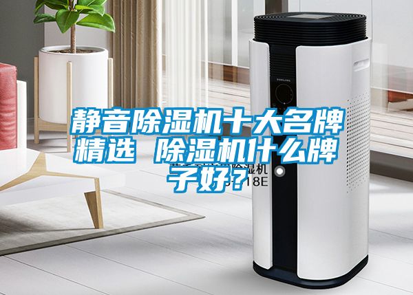 靜音除濕機十大名牌精選 除濕機什么牌子好？