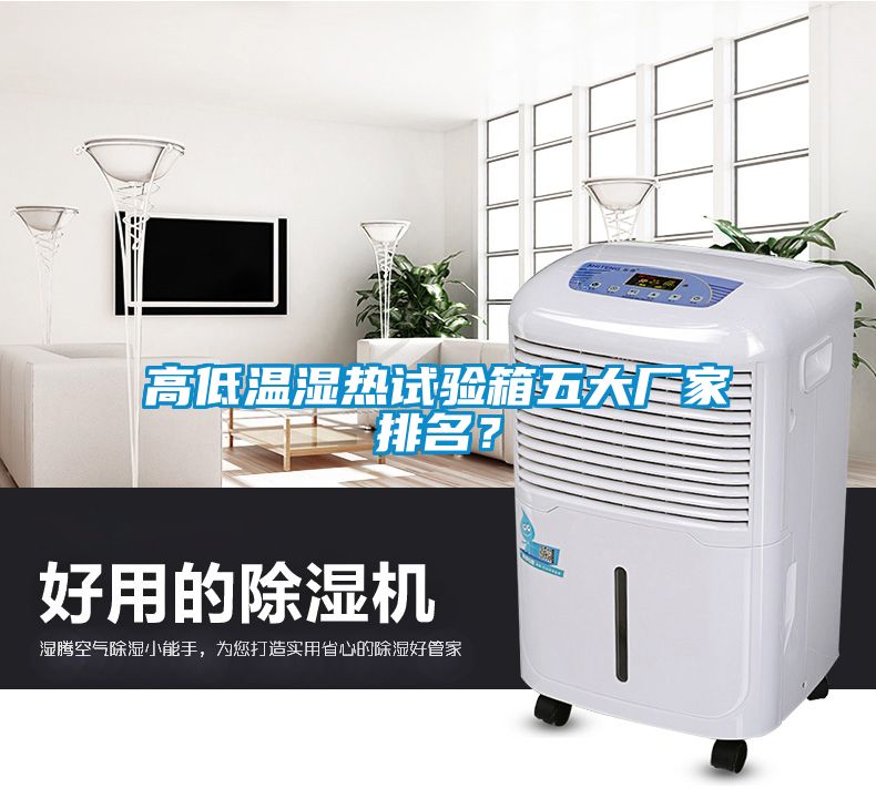 高低溫濕熱試驗箱五大廠家排名？