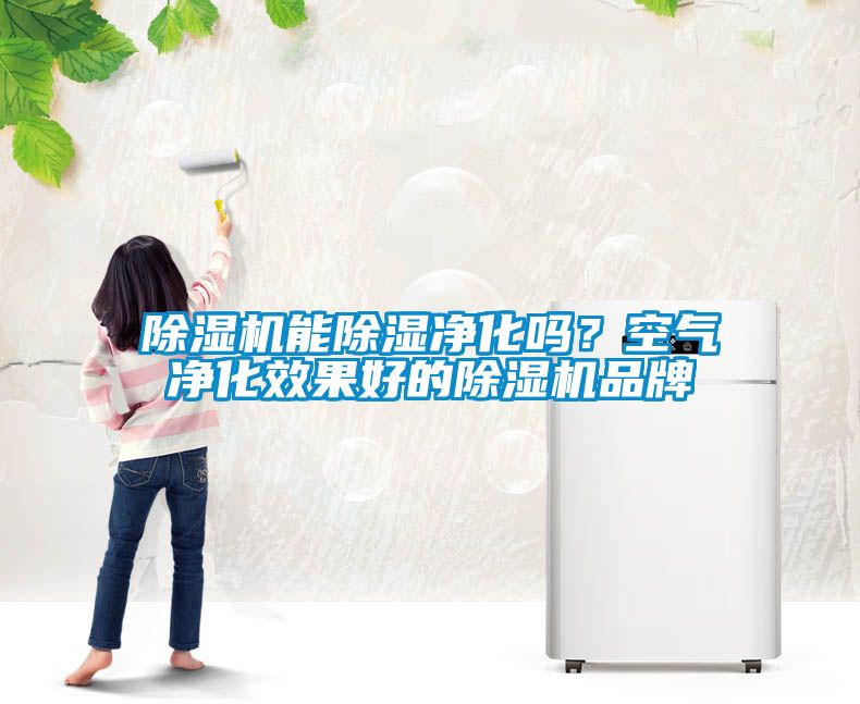 除濕機能除濕凈化嗎？空氣凈化效果好的除濕機品牌