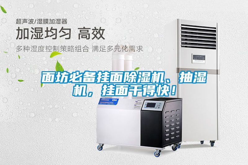 面坊必備掛面除濕機、抽濕機，掛面干得快！