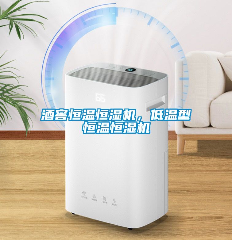 酒窖恒溫恒濕機，低溫型恒溫恒濕機