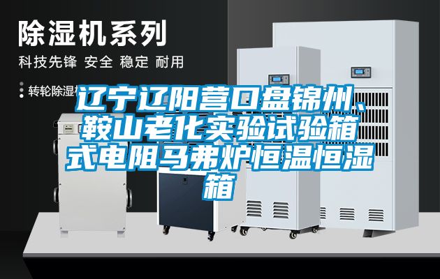 遼寧遼陽營口盤錦州、鞍山老化實驗試驗箱式電阻馬弗爐恒溫恒濕箱