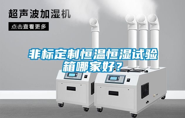 非標定制恒溫恒濕試驗箱哪家好？