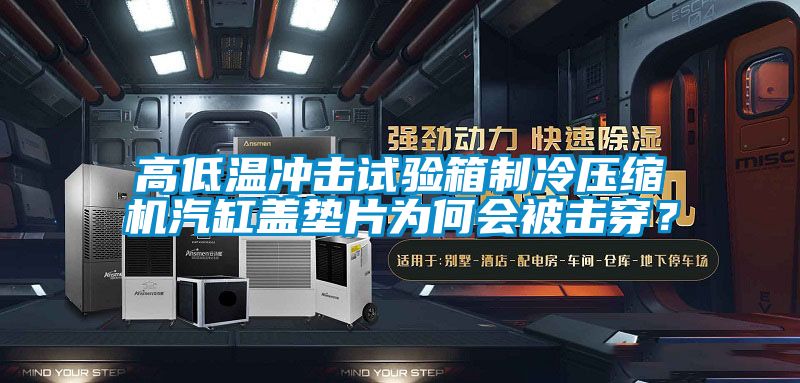 高低溫沖擊試驗箱制冷壓縮機汽缸蓋墊片為何會被擊穿？