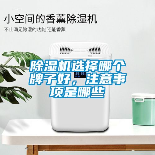 除濕機選擇哪個牌子好，注意事項是哪些