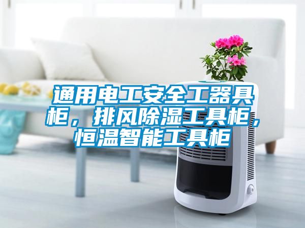 通用電工安全工器具柜，排風除濕工具柜，恒溫智能工具柜