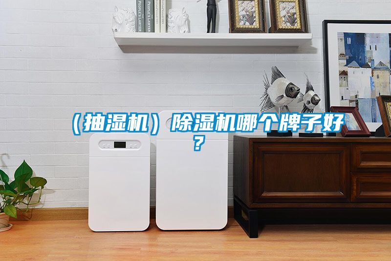（抽濕機）除濕機哪個牌子好？