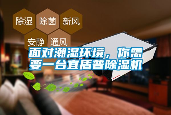 面對潮濕環境，你需要一臺宜盾普除濕機