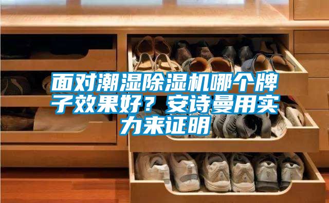 面對潮濕除濕機哪個牌子效果好？安詩曼用實力來證明