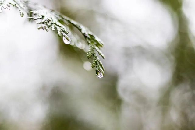 空氣濕度大帶來的危害有哪些，你知道嗎？